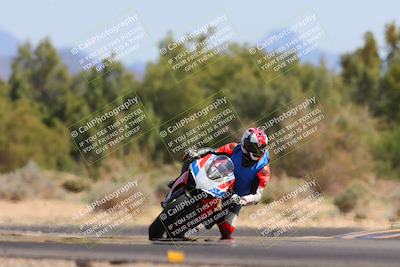 media/Mar-10-2024-SoCal Trackdays (Sun) [[6228d7c590]]/11-Turn 7 (130pm)/